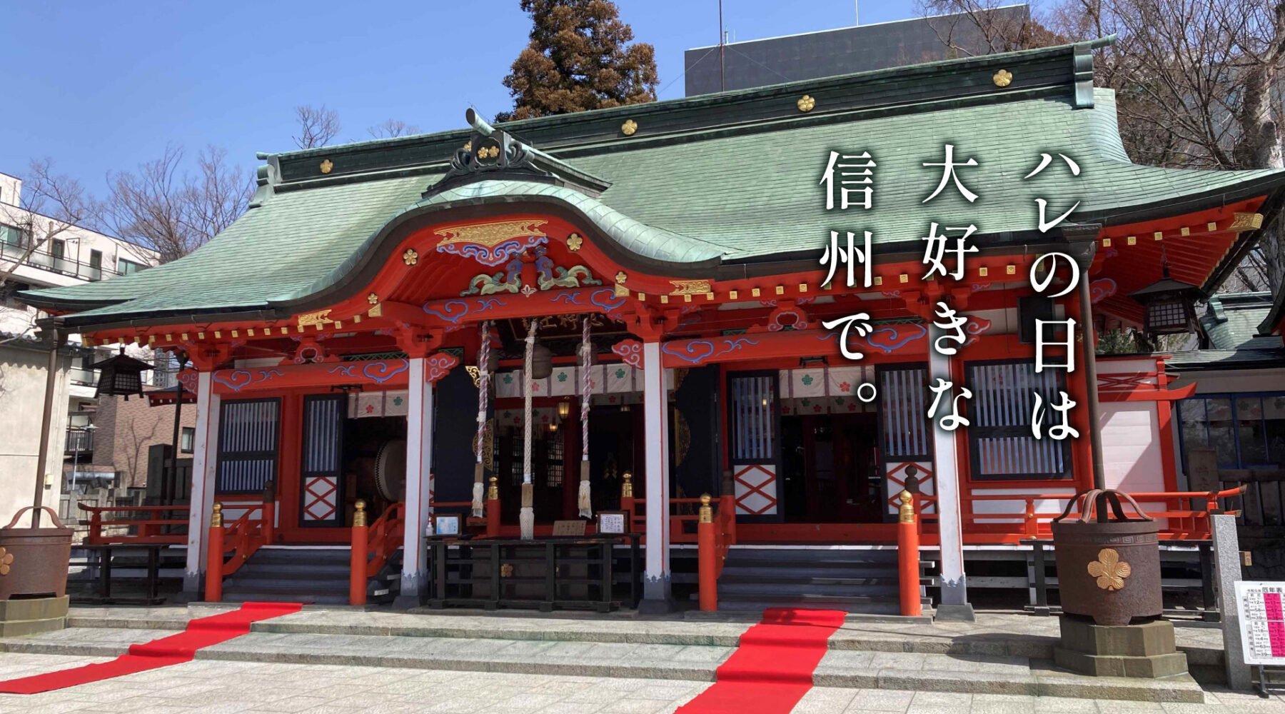 top-02